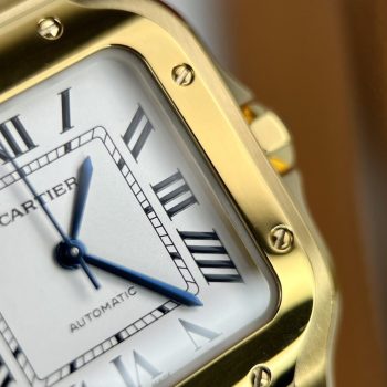 Đồng Hồ Nam Cartier WGSA0029 FAke 11