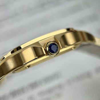 Đồng Hồ Nam Cartier WGSA0029 Replica 11 Cao Cấp Nhất